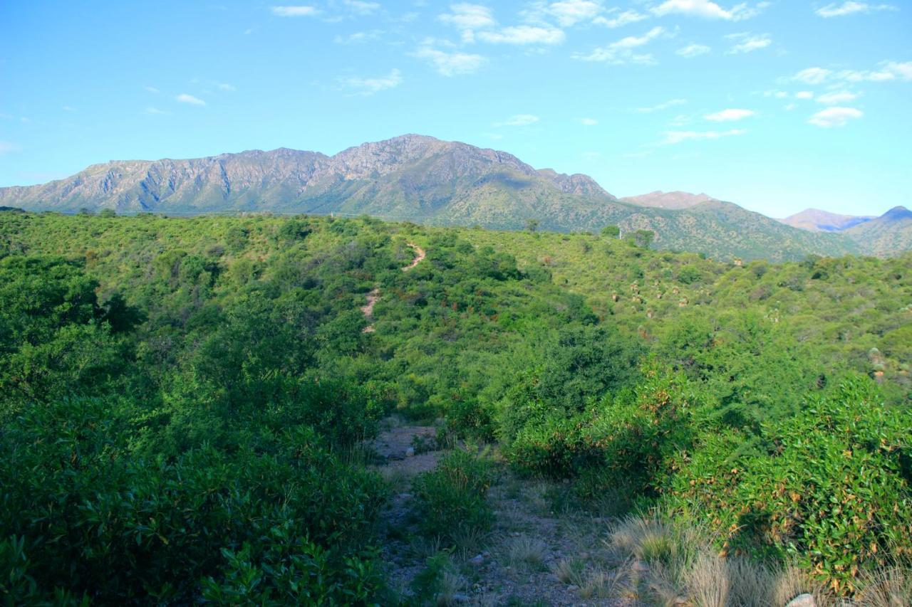 Cabanas El Arcano กาปียาเดลมอนเต ภายนอก รูปภาพ